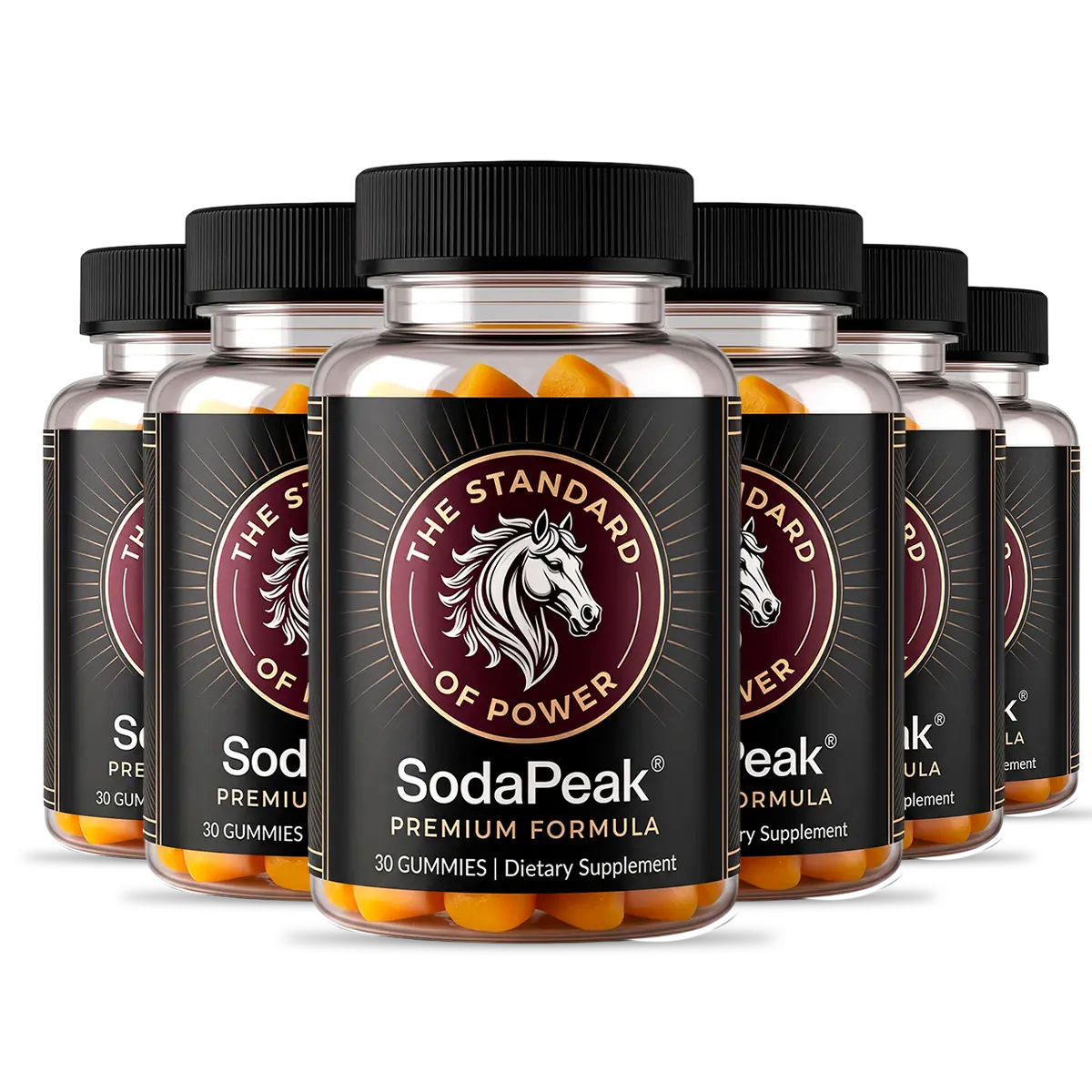 Six-bottle SodaPeak bundle